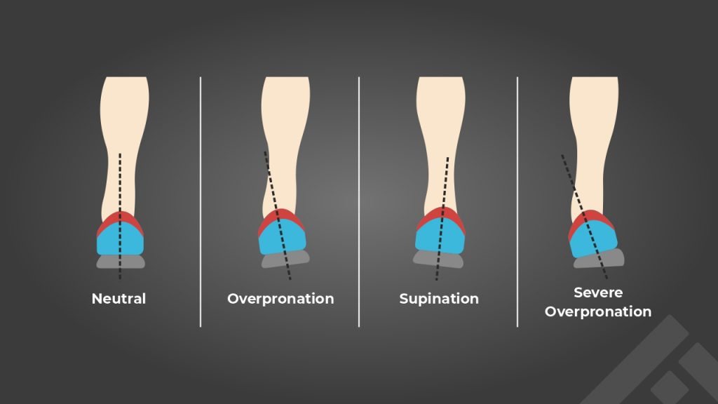 Foot anatomy: Pronation