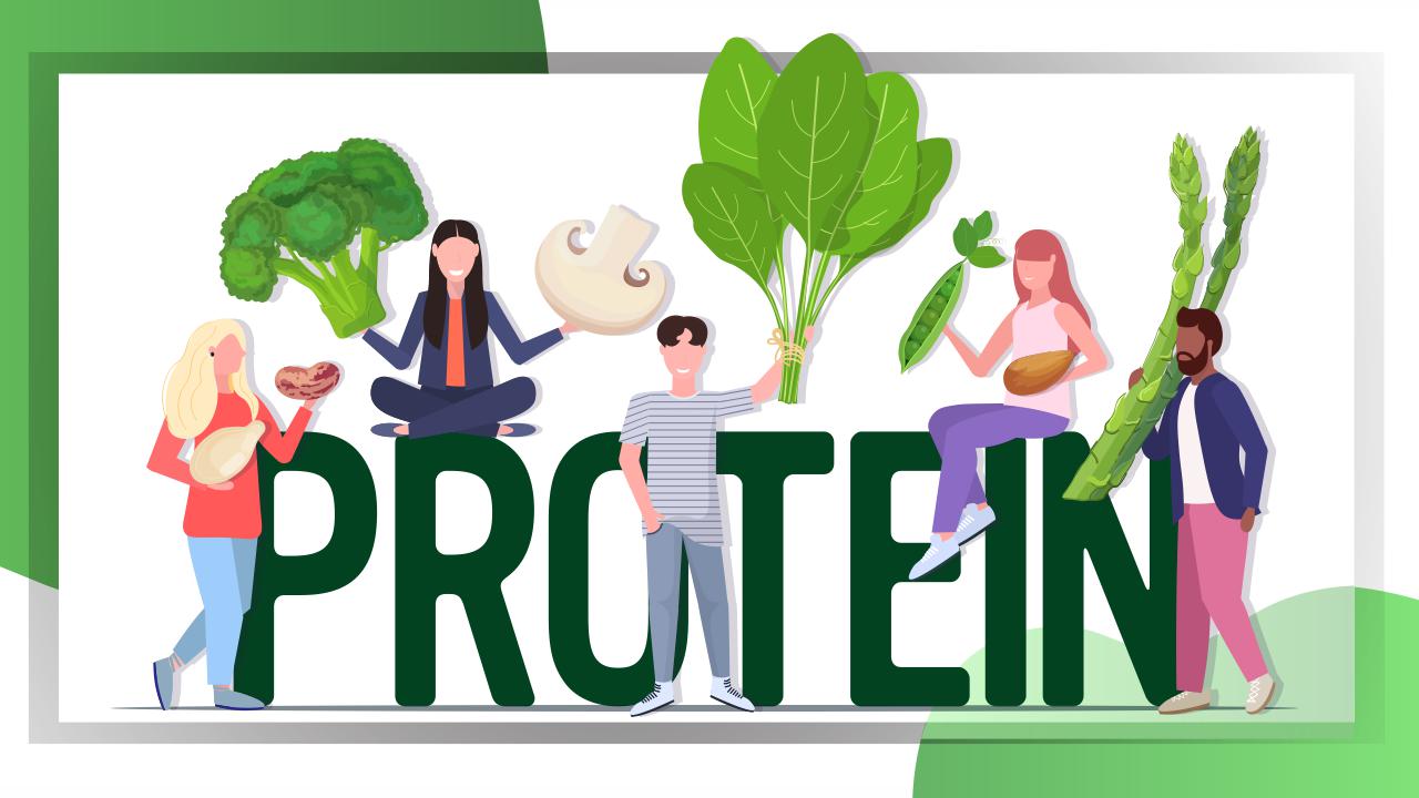 Proteins for vegetarians and vegans