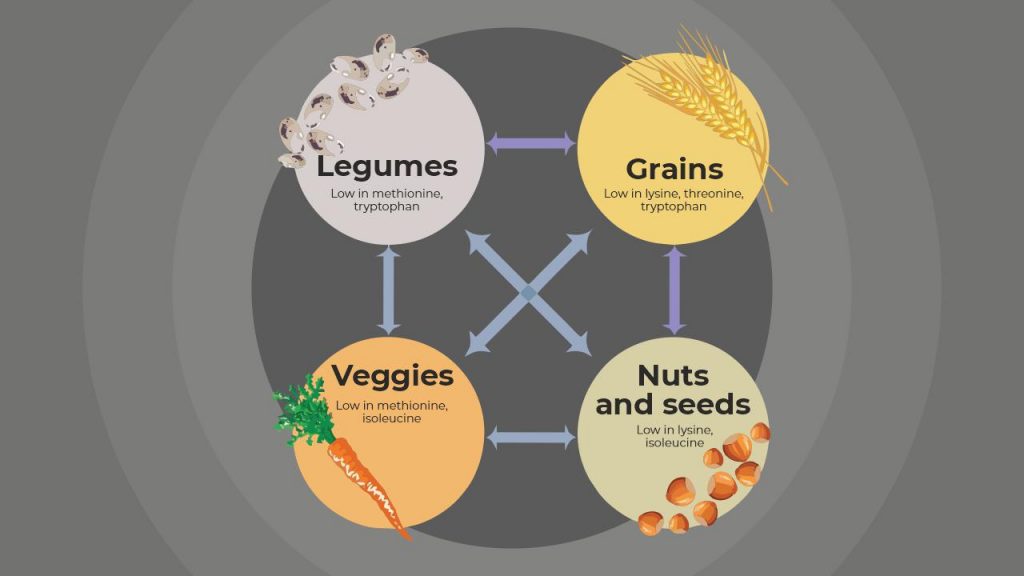 Proteins for vegetarians and vegans