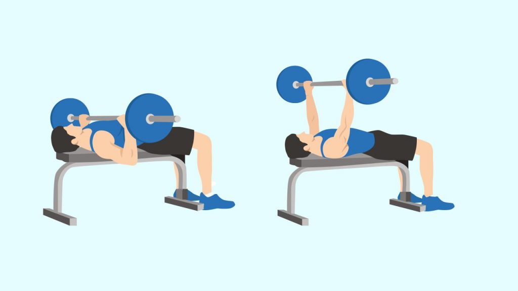 Gym upper body exercise: Chest press/ bench press machine