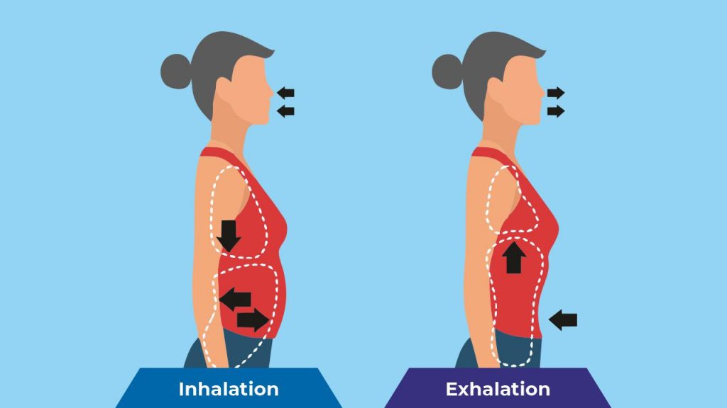 Belly or diaphragmatic breathing