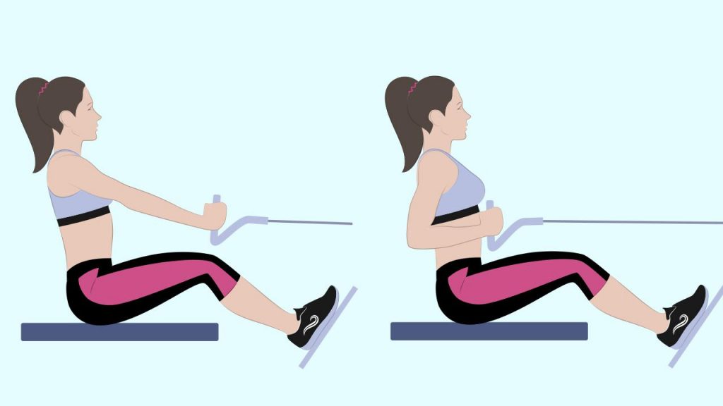 Gym upper body exercise: Seated cable row