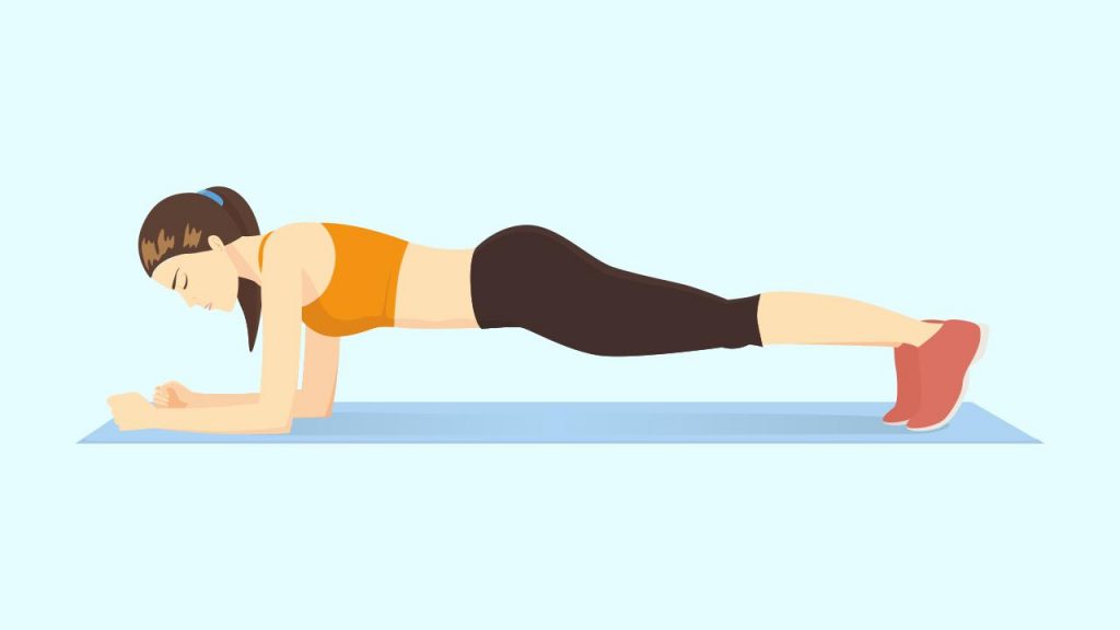 Gym core exercise: Plank