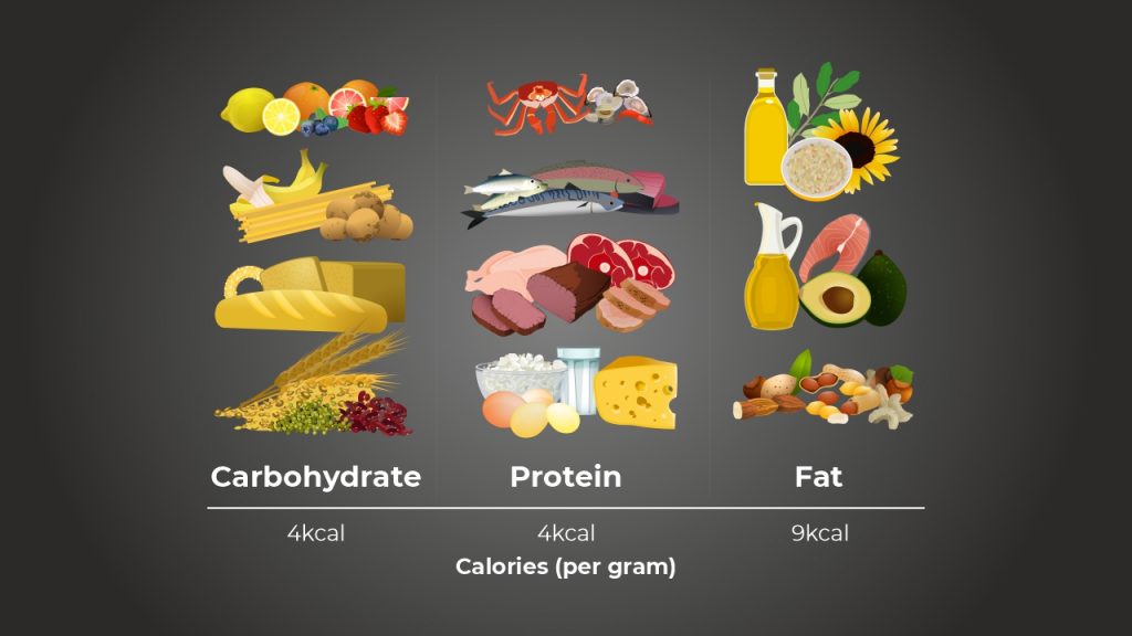 Calories per gram of fat