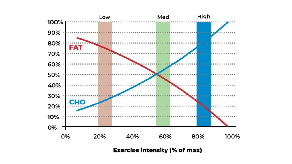 Use of fat and carbohydrates based on exercise intensity