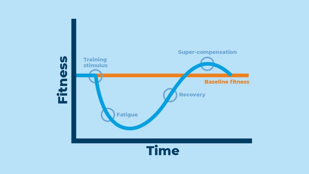 stimulus-fatigue-recovery-adaptation model