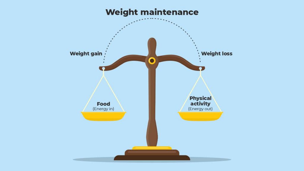 weight maintenance scale