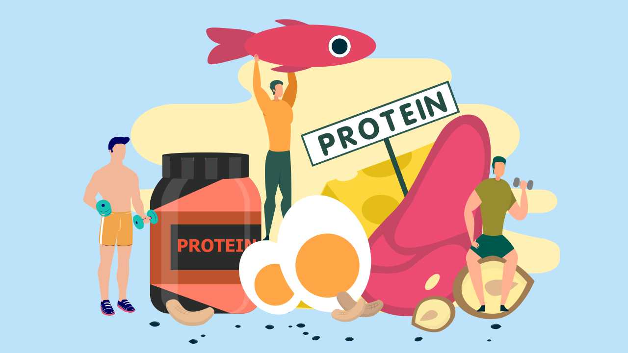 Right Protein for Muscle Building