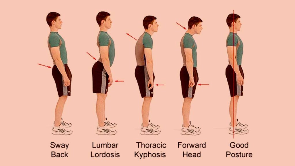 The curves of the spine located at the cervical (upper), thoracic (mid), lumber (lower), and sacrum (pelvic) regions, respectively. 