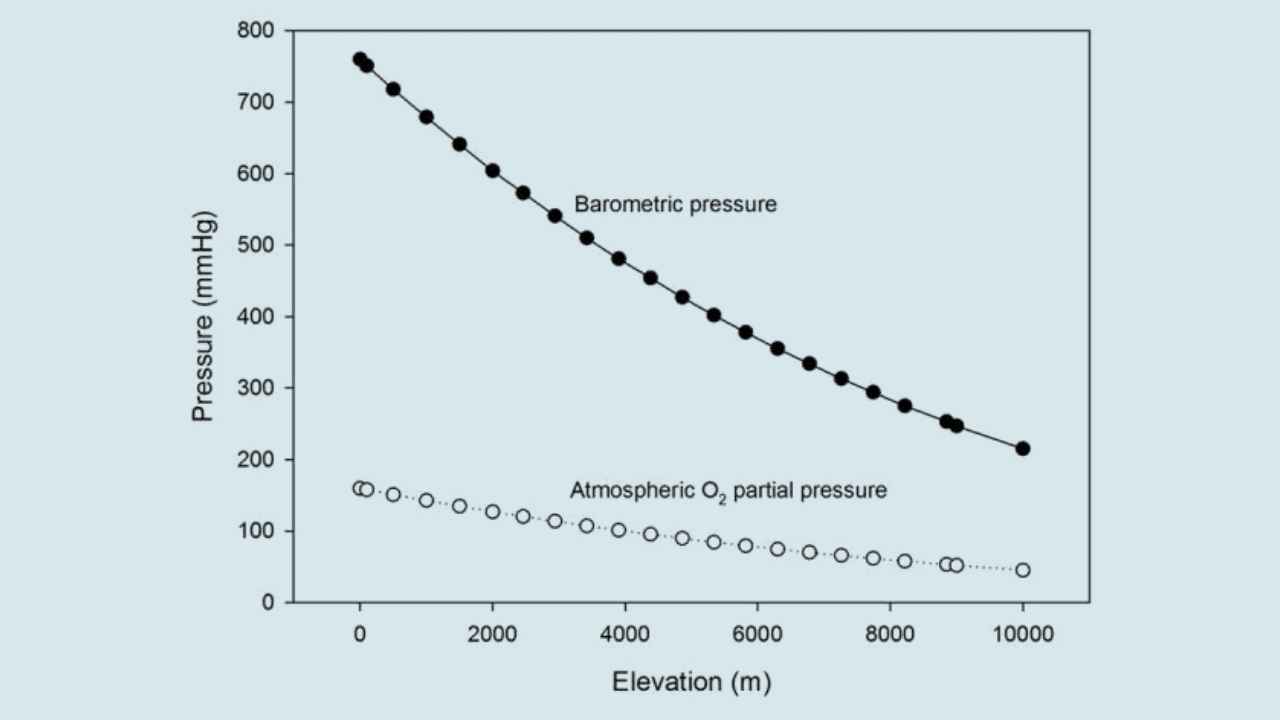 How Does Altitude Training Impact Running Performance? | Fitpage