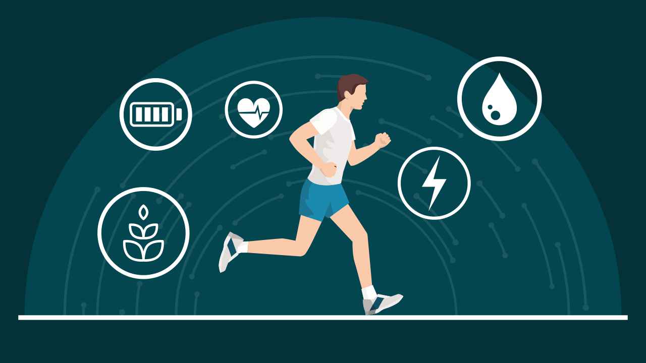 fat vs carb as an energy source for running