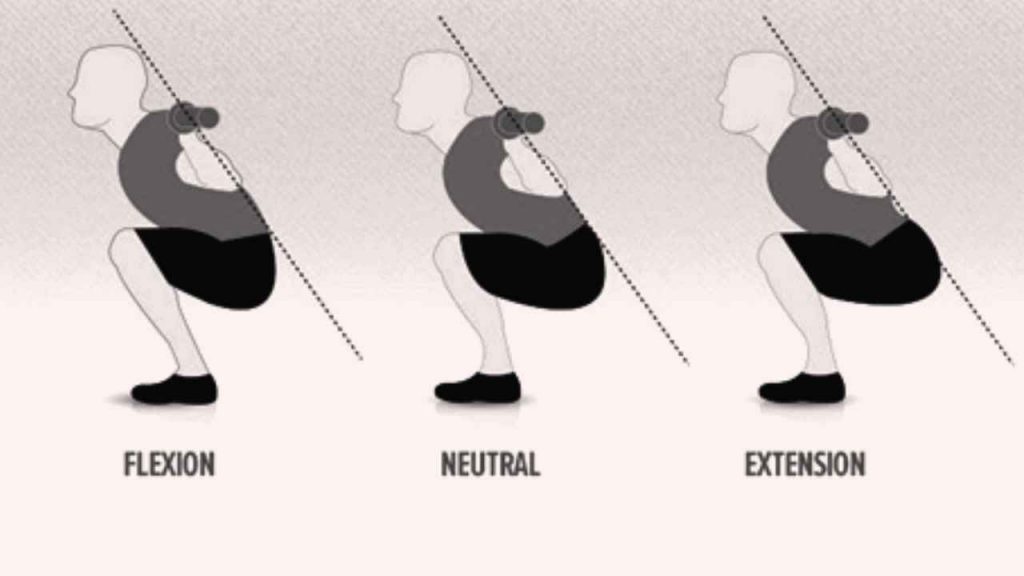 pelvic positions during squatting