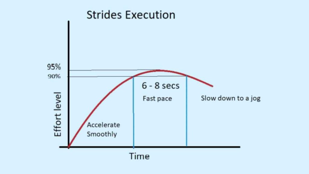 how to perform strides