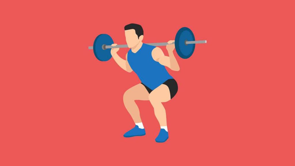 barbell squat