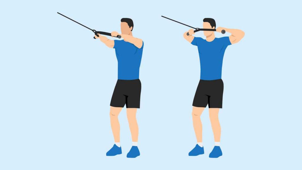 Face pulls exercise