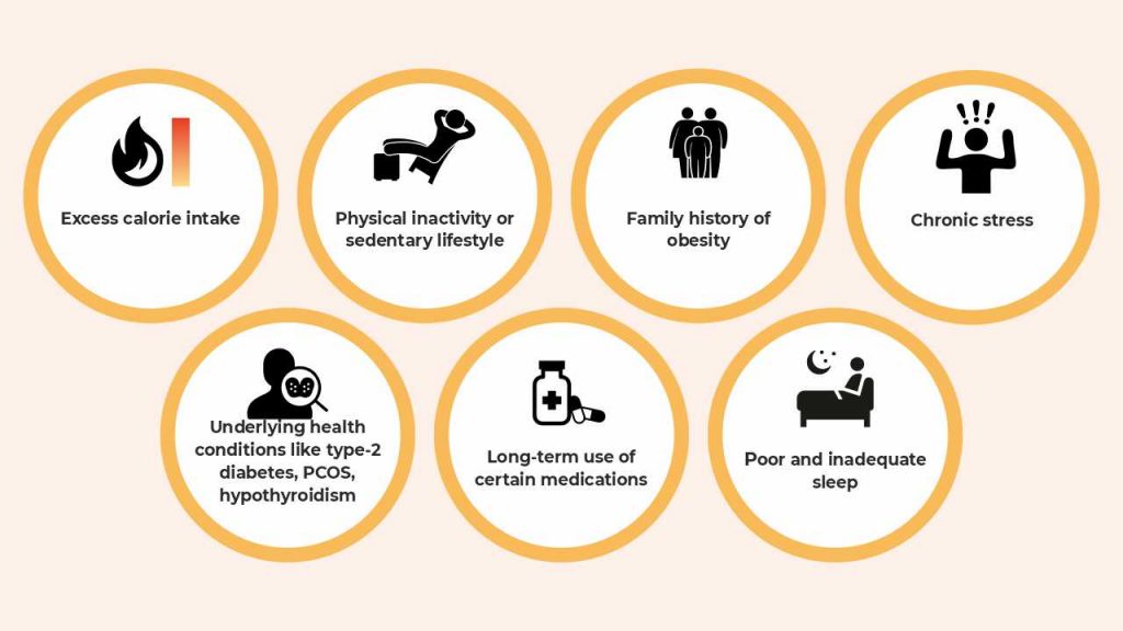 Causes of obesity