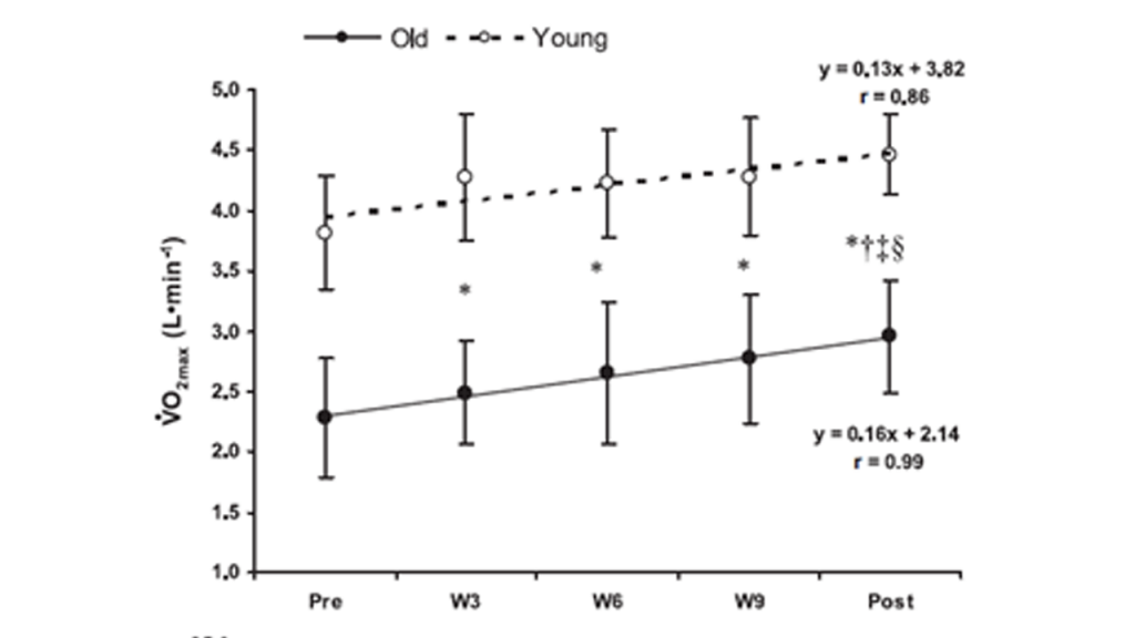 Changes in maximal oxygen uptake (VO2 max), maximal cardiac output (Qmax), and maximal arterial-venous oxygen difference (Max a-vO2diff) in response to aerobic training in older (O) and young (Y) male adults.