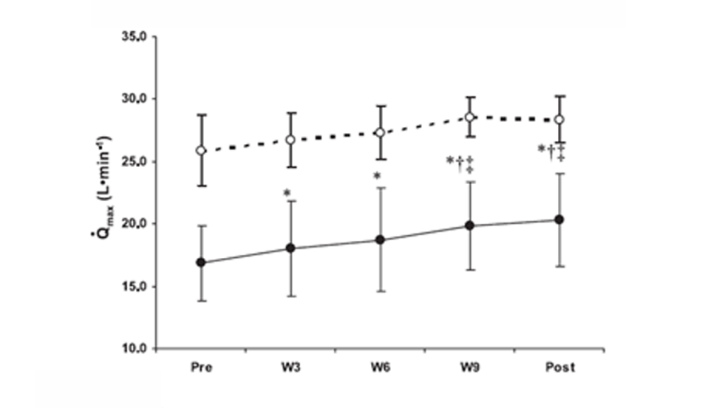 Changes in maximal oxygen uptake (VO2 max), maximal cardiac output (Qmax), and maximal arterial-venous oxygen difference (Max a-vO2diff) in response to aerobic training in older (O) and young (Y) male adults.